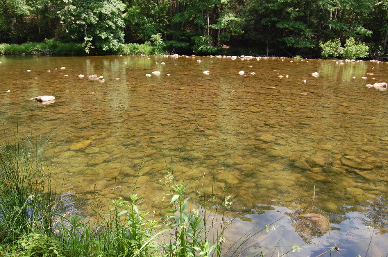 2008-06BR094